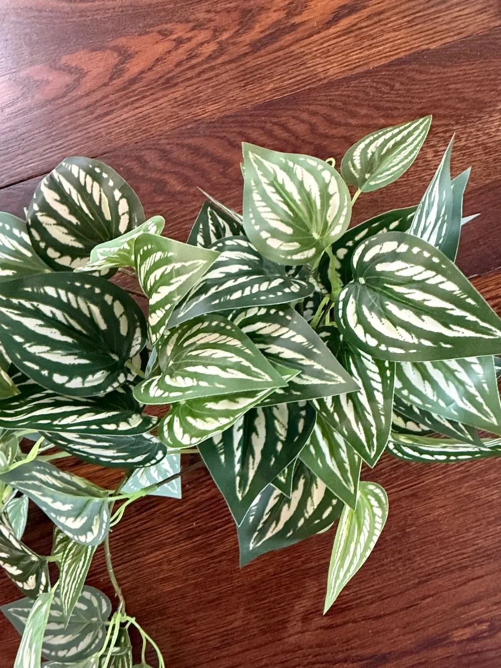 Faux plant